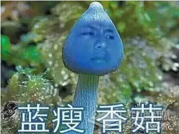 蓝瘦香菇.jpg